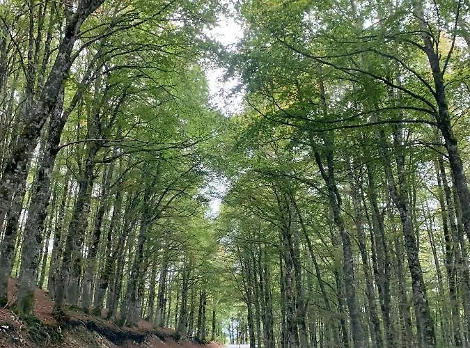 Il Duca Degli Abruzzi Hotel
